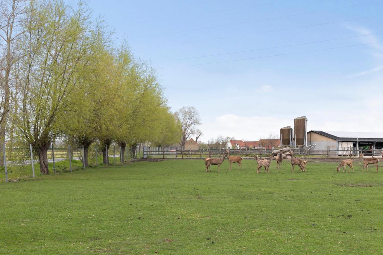 Villa Family House With A Beautiful View In Damme Bruges
